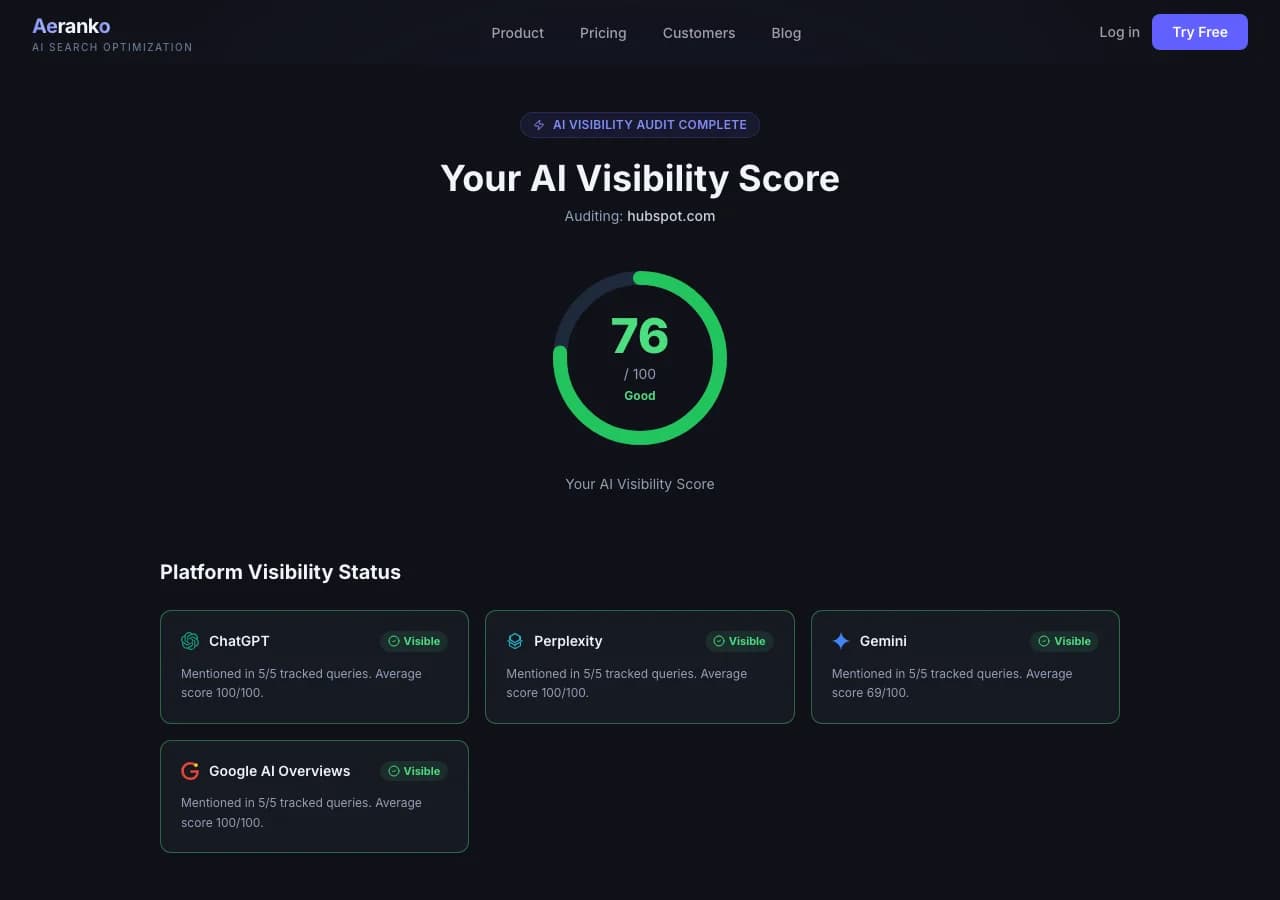 Aeranko AI Visibility Audit — real results showing visibility score, platform breakdown, and recommendations